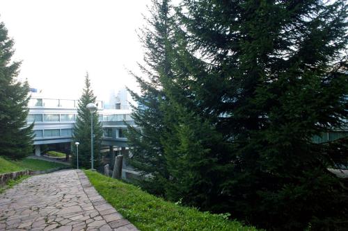 a stone path in front of a building with a tree at Ale 1206, Marilleva 1400 accesso diretto alle piste in Marilleva
