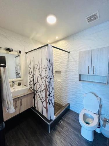 a bathroom with a shower with a toilet and a sink at Great Apartment with Private Terrace near Centro Cívico in Tegucigalpa