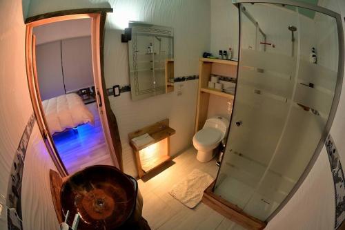 ein Bad mit einer Dusche, einem WC und einem Spiegel in der Unterkunft Sendero del Zorro, Km 41,5 ruta N-55 in Chillán