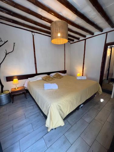 een slaapkamer met een groot bed in een kamer bij Refugio de Santiago Ecolodge in Lunahuaná