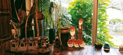 a room with plants and bottles on a wooden floor at La pinchi " Pinchi's Bed " in Gampola