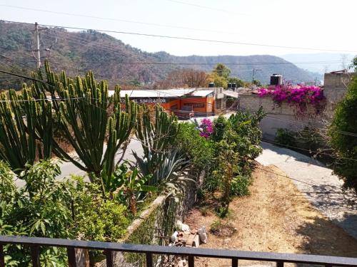 vistas a un jardín con plantas y una valla en Posada Tia Miny, en San Miguel