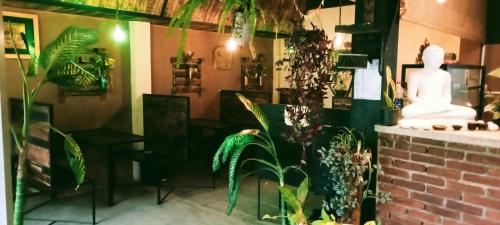 Fotografie z fotogalerie ubytování La pinchi " Pinchi's Bed " v destinaci Gampola
