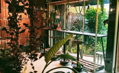 una habitación con plantas y un estante con plantas en La pinchi " Pinchi's Bed " en Gampola