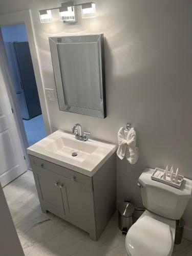 a bathroom with a sink and a toilet and a mirror at Casa LACK - Tranquila Suites 3 in Ottawa