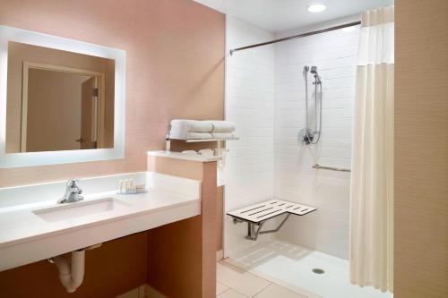 Fairfield Inn & Suites by Marriott Hendersonville Flat Rock في فلات روك: حمام مع حوض ودش