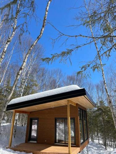 a small cabin in the woods with snow on the roof at Tanières MicroChalets Charlevoix in Baie-Saint-Paul