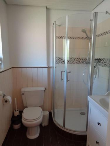a bathroom with a shower and a toilet and a sink at Haus Dat lüttje Huus in Krummhörn