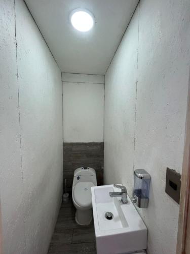 a small bathroom with a toilet and a sink at Constanza in Talca