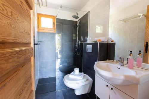 een badkamer met een wastafel, een toilet en een douche bij Mare E Monti in Porto Pollo