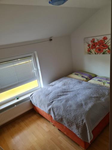 ein kleines Schlafzimmer mit einem Bett und einem Fenster in der Unterkunft Apartment Carolina in Rogašovci
