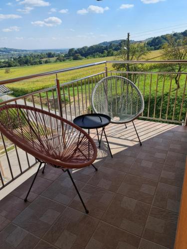 2 Stühle und ein Tisch auf einem Balkon mit Aussicht in der Unterkunft Apartment Carolina in Rogašovci