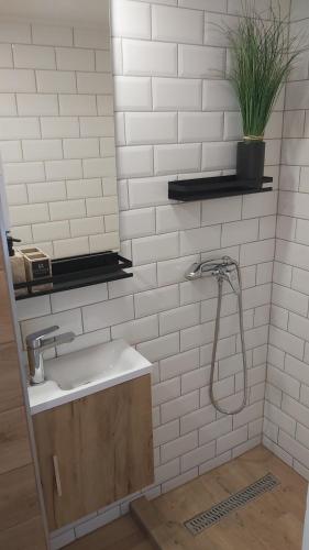 La salle de bains est pourvue d'un lavabo et d'une douche. dans l'établissement Mythos Private Resort, à Pécs