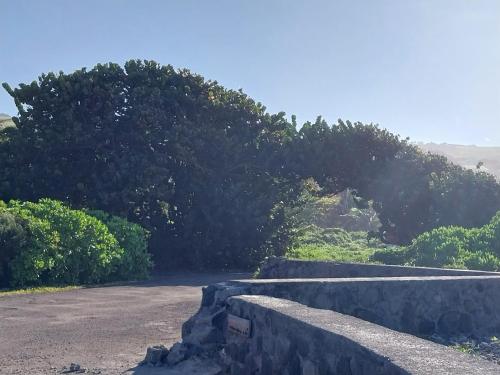 Un paisaje natural cerca de la casa vacacional