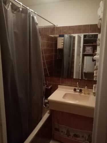une salle de bain avec un rideau de douche et un lavabo dans l'établissement Logement tout confort Val d'Isere, à Le Joseray
