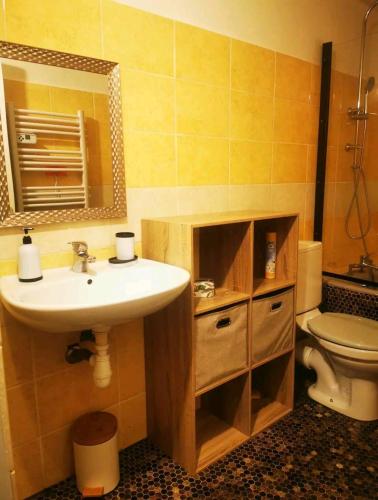 une salle de bain avec un lavabo, des toilettes et un miroir dans l'établissement Appartement Lauzet-Ubaye, au Lauzet-Ubaye