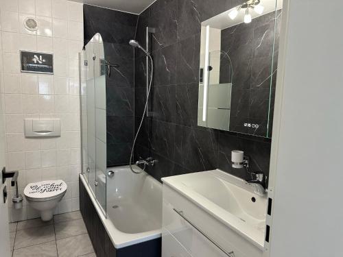 a bathroom with a sink and a toilet and a shower at Nollywood-Apartment in Rheinfelden