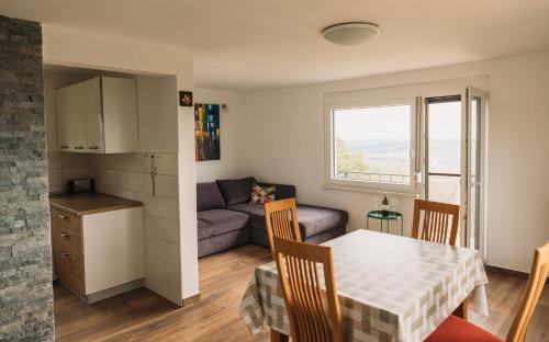 Pišece的住宿－Apartma Hiša na Ravnah，厨房以及带桌子和沙发的客厅。