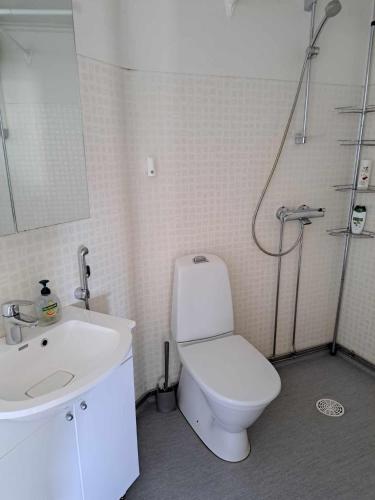 a bathroom with a toilet and a sink and a shower at Lägenhet Nybrovägen in Lapväärtti