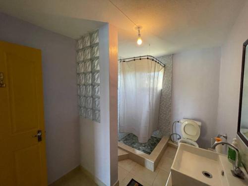 a bathroom with a shower and a toilet and a sink at Cozy duplex for perfect getaway in Grand Gaube