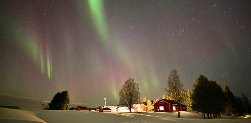 an image of the northern lights in the sky at Alanko Lodge in Tornio