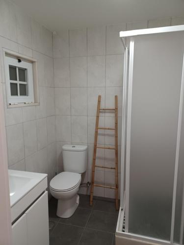 a bathroom with a toilet and a ladder in it at Monte do Ti'Mota in São Lourenço de Mamporcão