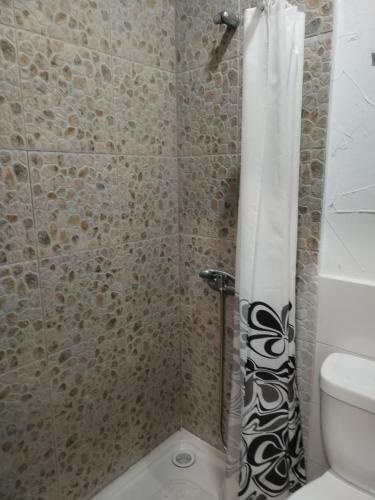 a bathroom with a shower with a toilet and a shower curtain at Apartamentos La Campana 5 in Jerez de la Frontera