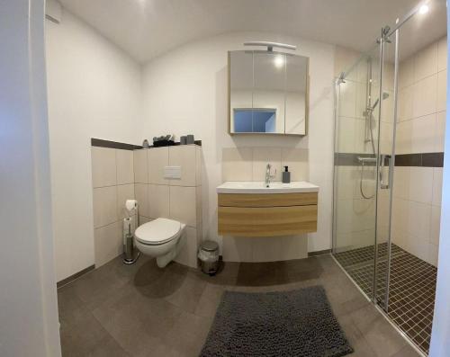a bathroom with a toilet and a sink and a shower at Pferdehof Simon in Binscheid