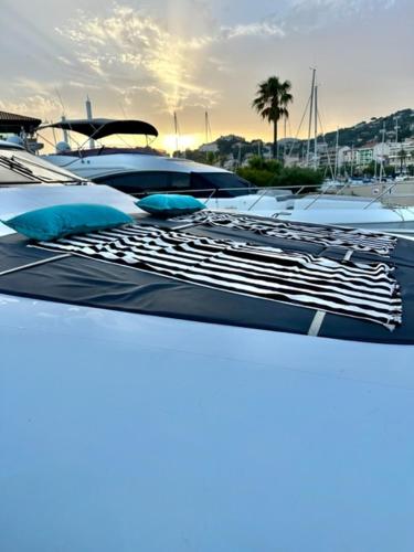 MotorYacht 21 avec équipage photo 34