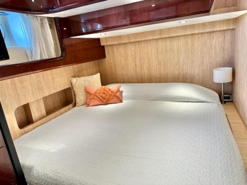 MotorYacht 21 avec équipage photo 40