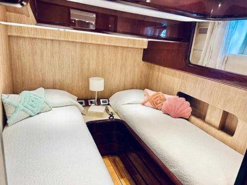 MotorYacht 21 avec équipage photo 30