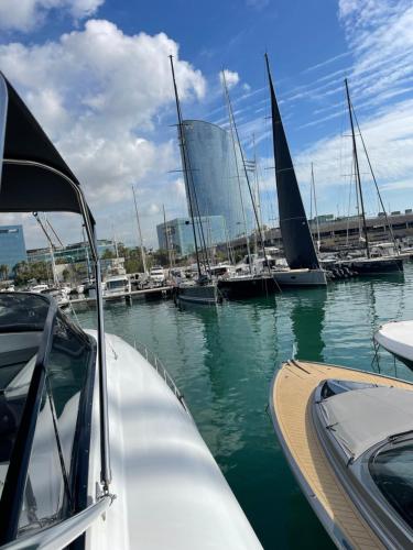 MotorYacht 21 avec équipage photo 64