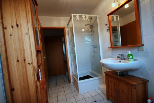 a bathroom with a sink and a shower and a mirror at Ferienwohnung 1 Höller in Grömitz