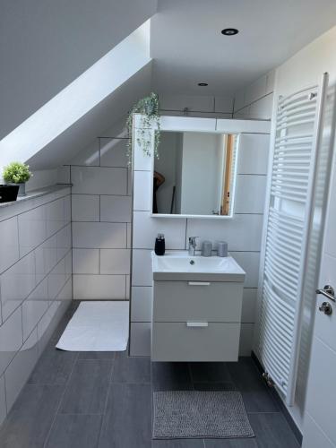 a bathroom with a sink and a mirror at Zum Josefstal zwei in Sankt Ingbert