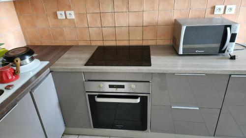 Il comprend une cuisine équipée d'une cuisinière. - un four à micro-ondes dans l'établissement CHATEAU JAPY APPARTEMENT DUPLEX NY, à Dasle