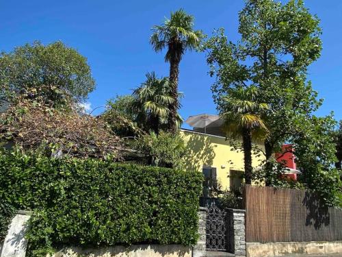 a house with palm trees and a fence at Accogliente appartamento con cucina arredata in Ascona