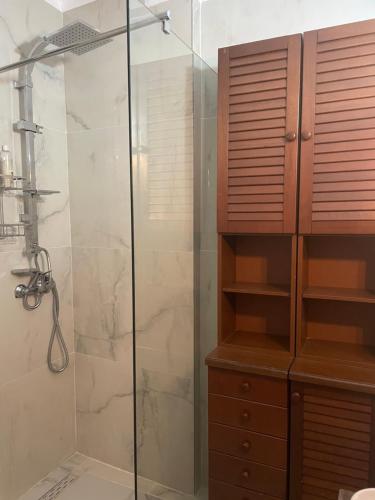 een badkamer met een douche en een glazen douchecabine bij Home of Maks Golem in Golem