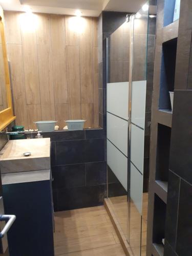 La salle de bains est pourvue d'une douche en verre et d'un lavabo. dans l'établissement BLUE SUMMER T3 - vue sur mer - Saint Gilles les Bains, à Saint-Gilles les Bains