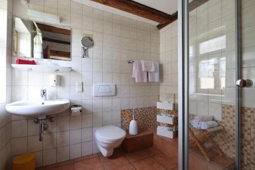 ein Bad mit einem WC, einem Waschbecken und einer Dusche in der Unterkunft Hotel-Gasthof-Schiff in Winterhausen