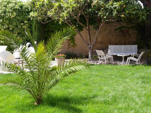 a palm tree in a yard with a park bench at Le relais d'Angélique in Lunel
