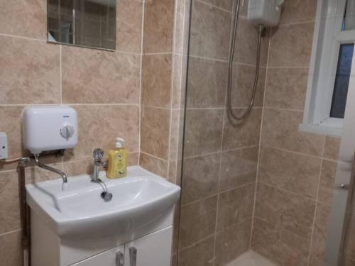 een badkamer met een wastafel en een douche bij Cosy 2 Bedroom Flat Newport in Newport