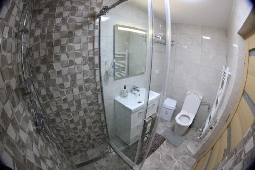a small bathroom with a sink and a toilet at Cabana Gura Voronețului in Gura Humorului