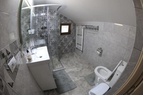 La salle de bains est pourvue de toilettes, d'un lavabo et d'une douche. dans l'établissement Cabana Gura Voronețului, à Gura Humorului