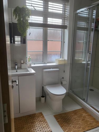 a bathroom with a toilet and a sink and a shower at Bright, quiet room in the center of Newbury in Newbury