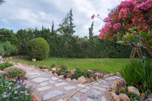 Casa Teresa photo 34