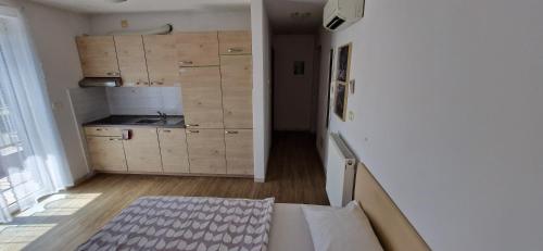 um pequeno quarto com uma cozinha com armários de madeira em Daisy apartment em Ajdovščina