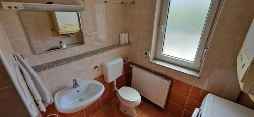 uma casa de banho com um lavatório, um WC e um espelho. em Daisy apartment em Ajdovščina