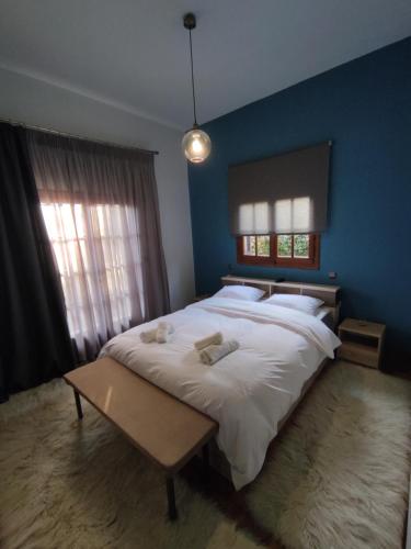 a bedroom with a large bed with a blue wall at Spyros's Home in Tríkala