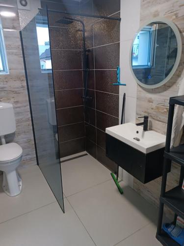uma casa de banho com um chuveiro, um lavatório e um espelho. em Apartma pri Renati em Celje