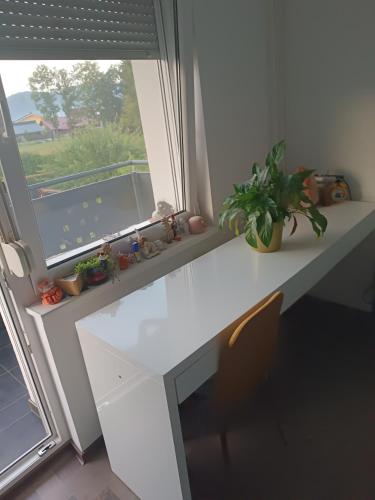 Fotografie z fotogalerie ubytování Apartment Renata, Celje v destinaci Celje